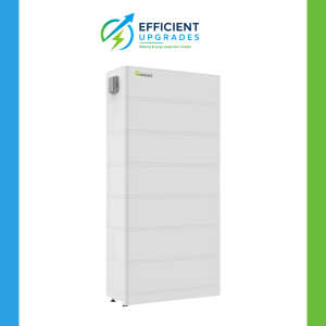 Growatt Batteries